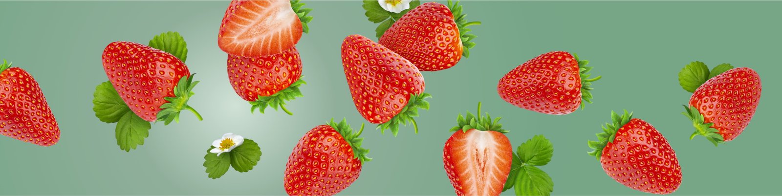 ProDentim merchant-supplied product visual