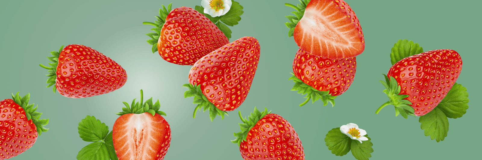 ProDentim merchant-supplied product visual